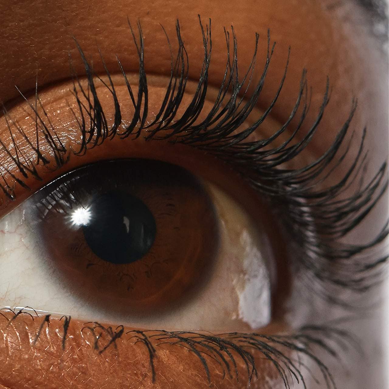 Lash Sculpt Lengthen and Lift Mascara - REFY