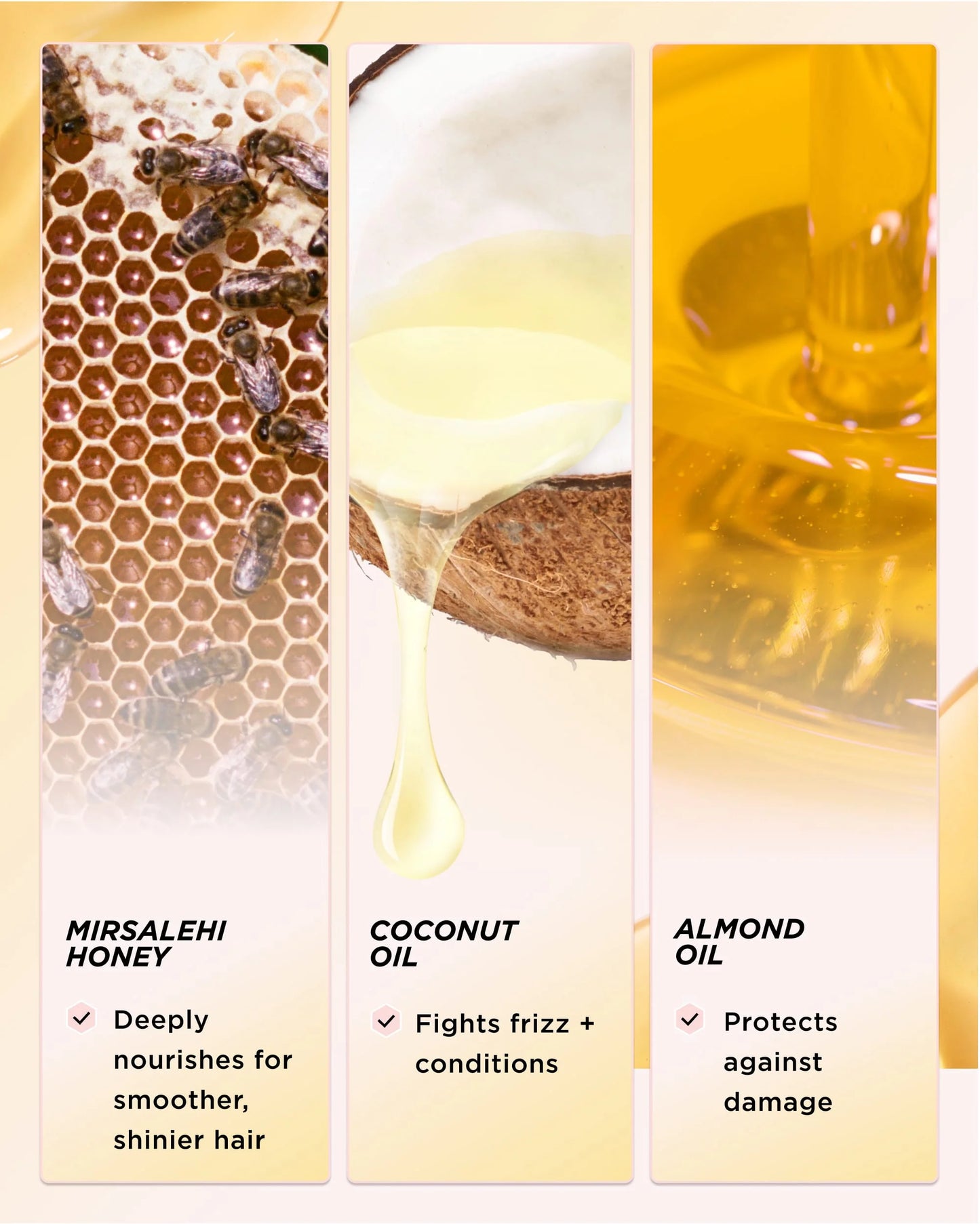 Honey Infused Hair Oil - Gisou